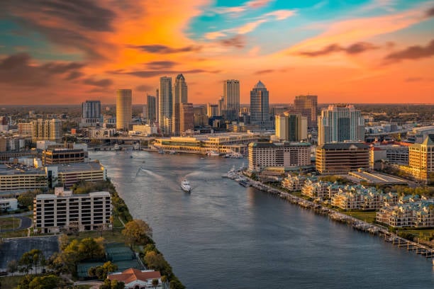 A view of downtown Tampa skyline with palm trees and waterfront