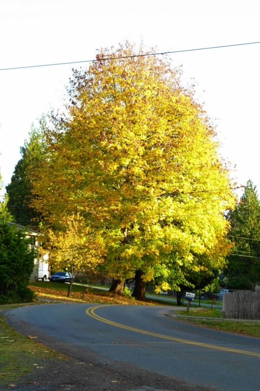Edgewater Estates Lofall
