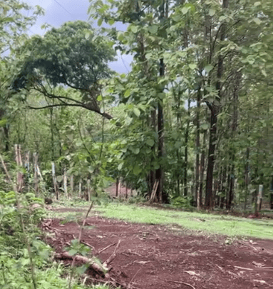 Chocolate Rain Lots | Prime 1.89-Acre Development Opportunity Near Lola’s & Aviana’s Beach