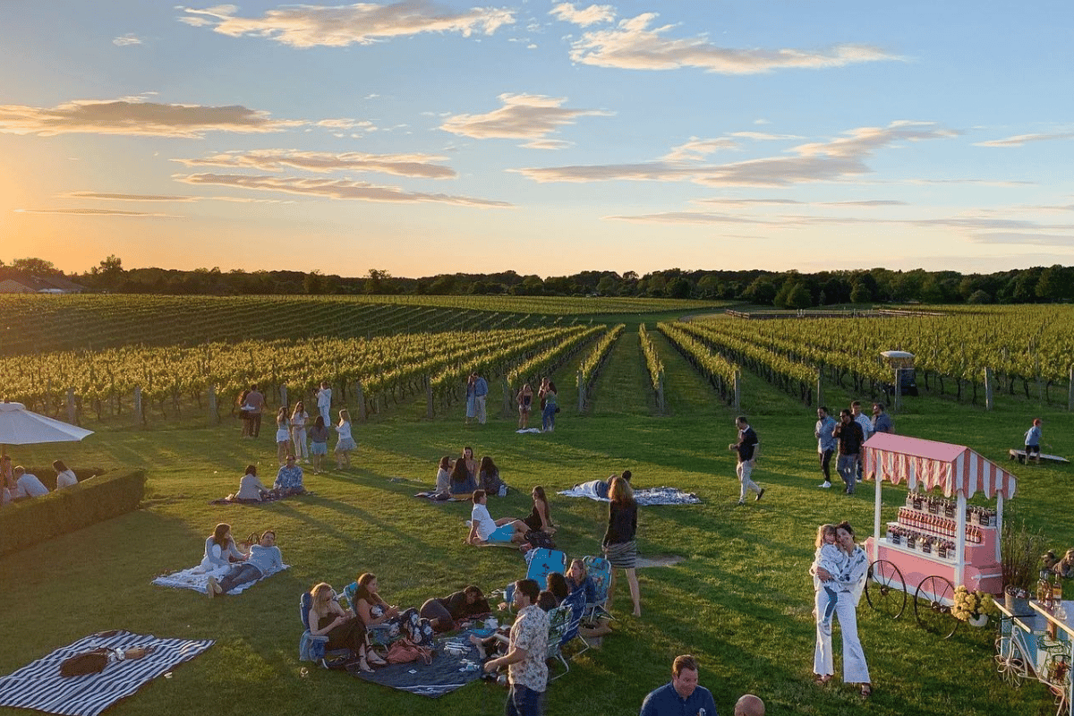 Top Wineries & Vineyards in Suffolk County, Long Island – Map & Visitor Guide