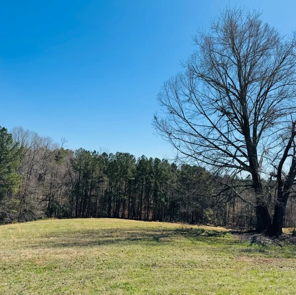 SOLD: The Perfect Property for Your Dream Estate! A Closer Look at the Stunning 14-Acre Estate Near Pelzer, SC