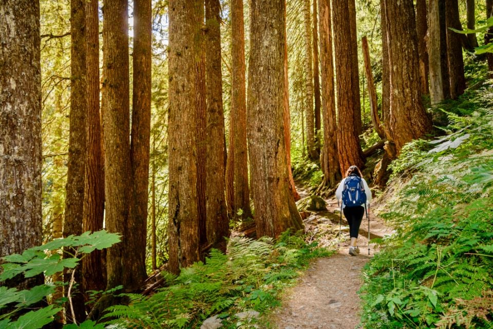 Great hiking trails  
to explore in  
Winthrop, WA