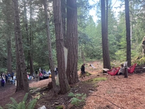 Recap of Summer 2025 Series at Ellingsen Woods