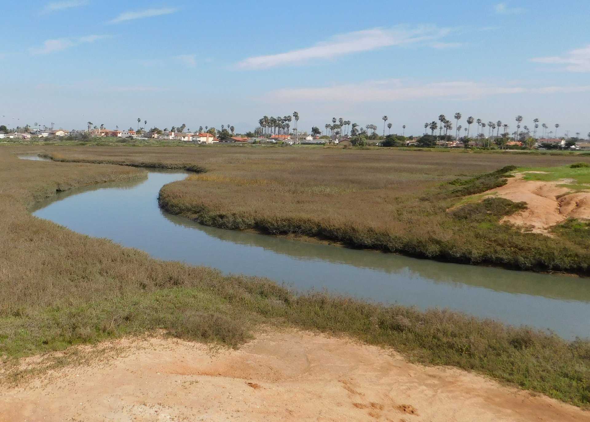Tidal channel winding through the salt marsh of the Tijuana Slough National Wildlife Refuge in Imperial Beach, with homes and palms along the south edge of the city in the distance, February 2017