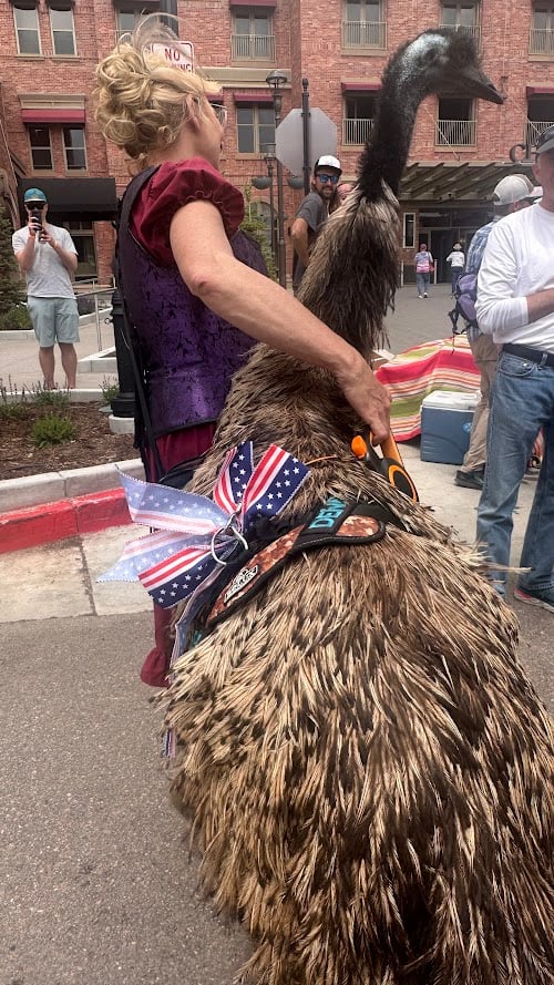 A Colorado Classic: Inside Cripple Creek’s Donkey Derby Days