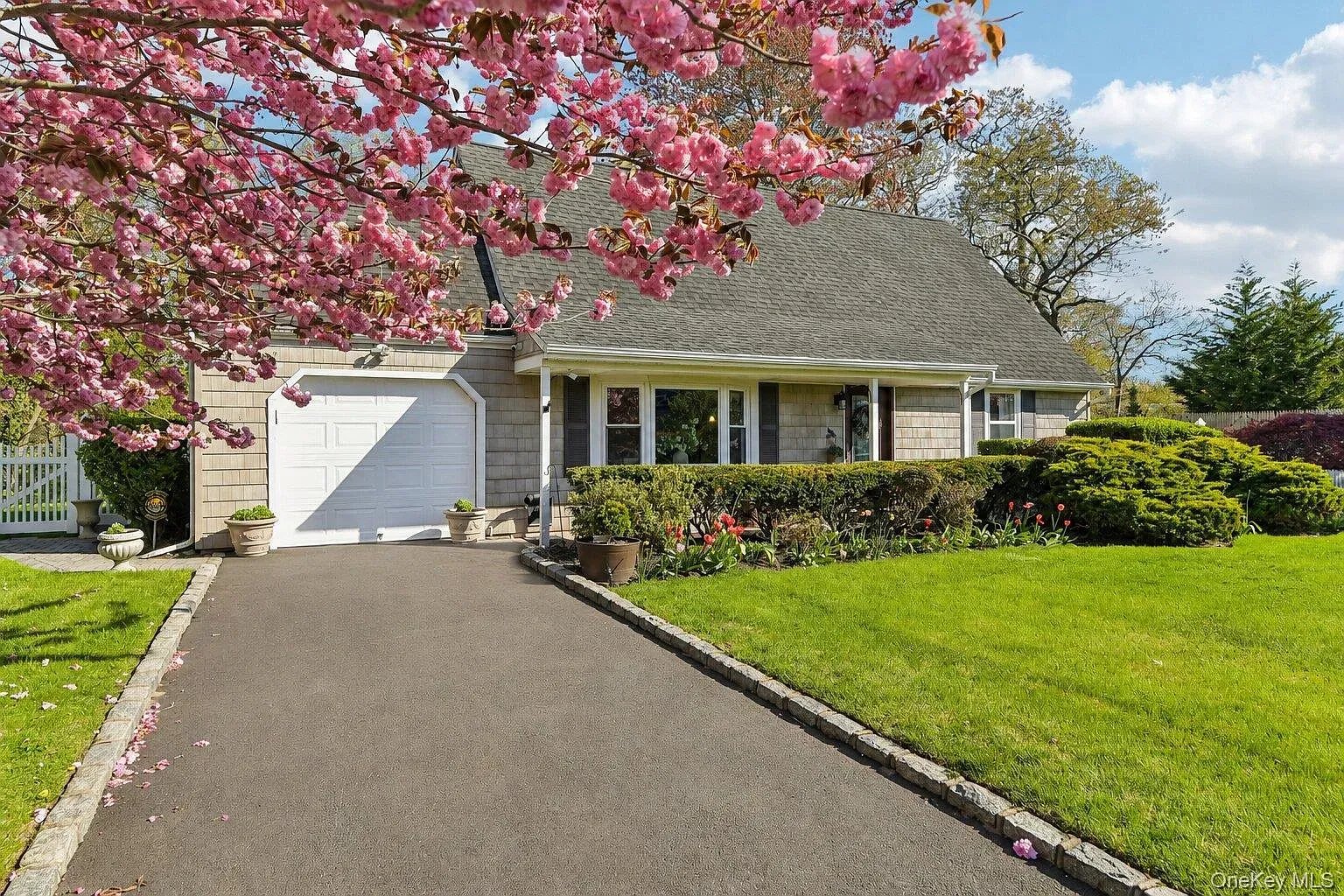 41 Orchid Rd