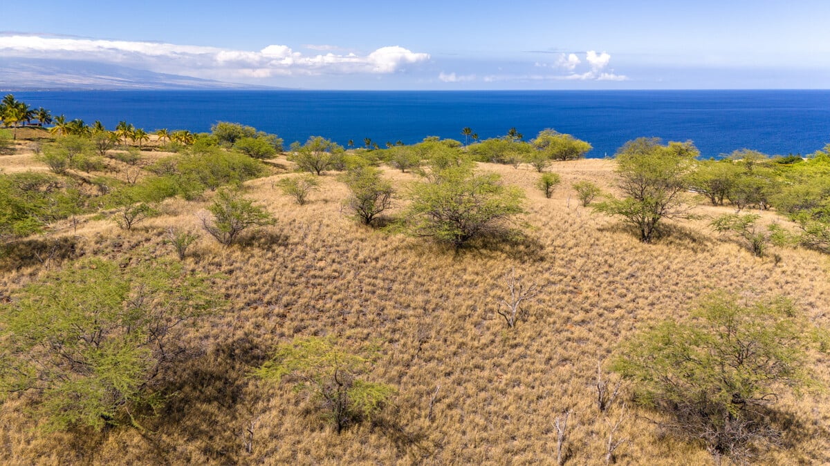 OLOMANA RD, Kohala Ranch