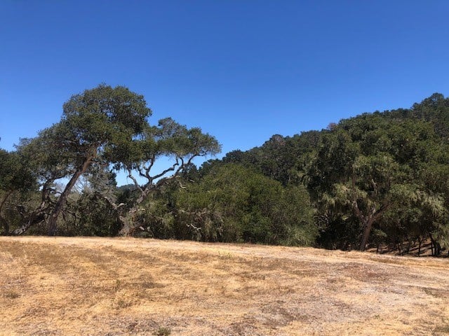 7735 Paseo Venado (Lot 82)