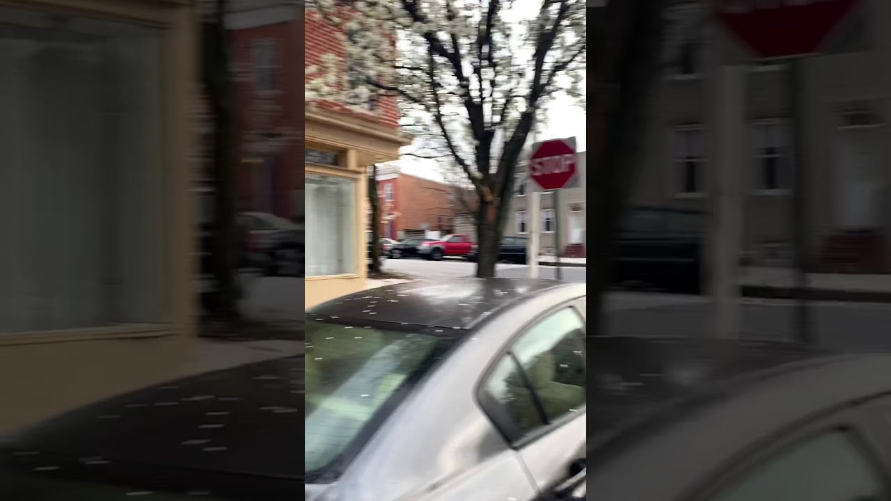 Video Tour: 2126 Bank St