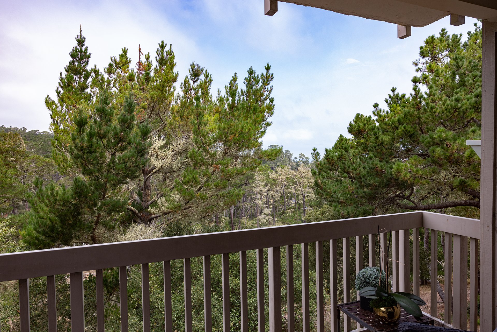 Spacious Pebble Beach Condo