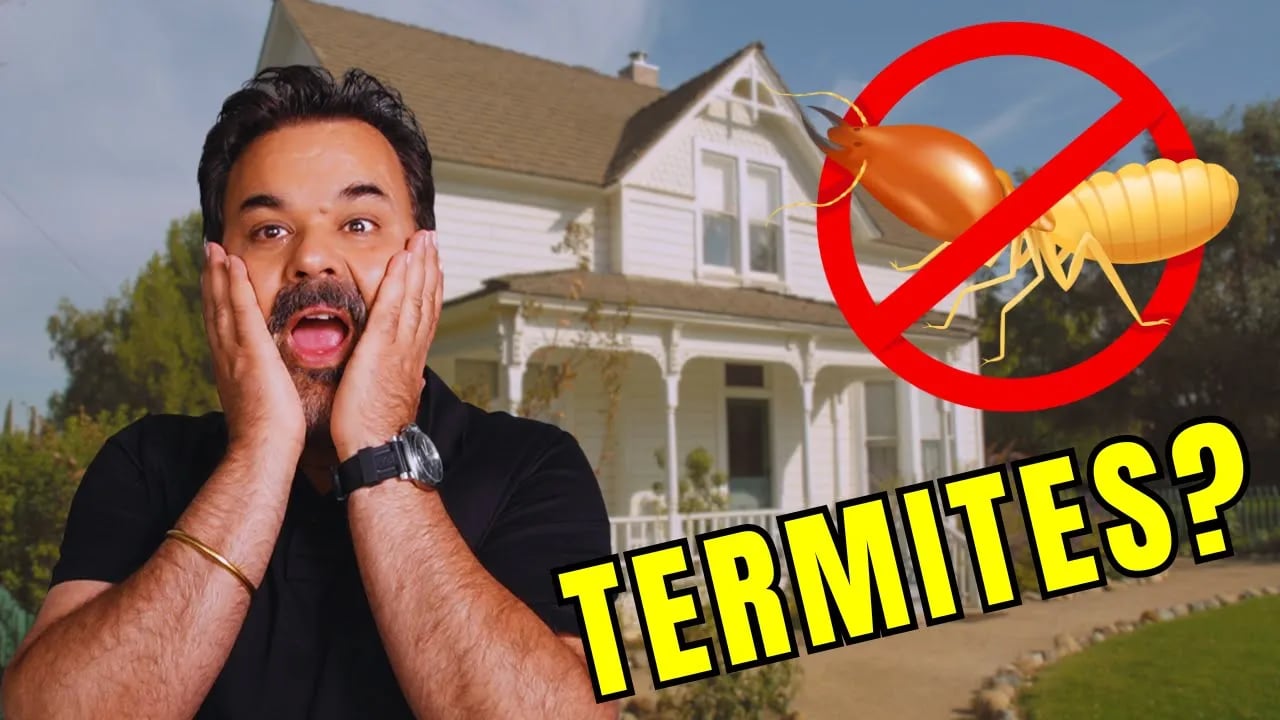 What You Need To Know About Termite Treatments