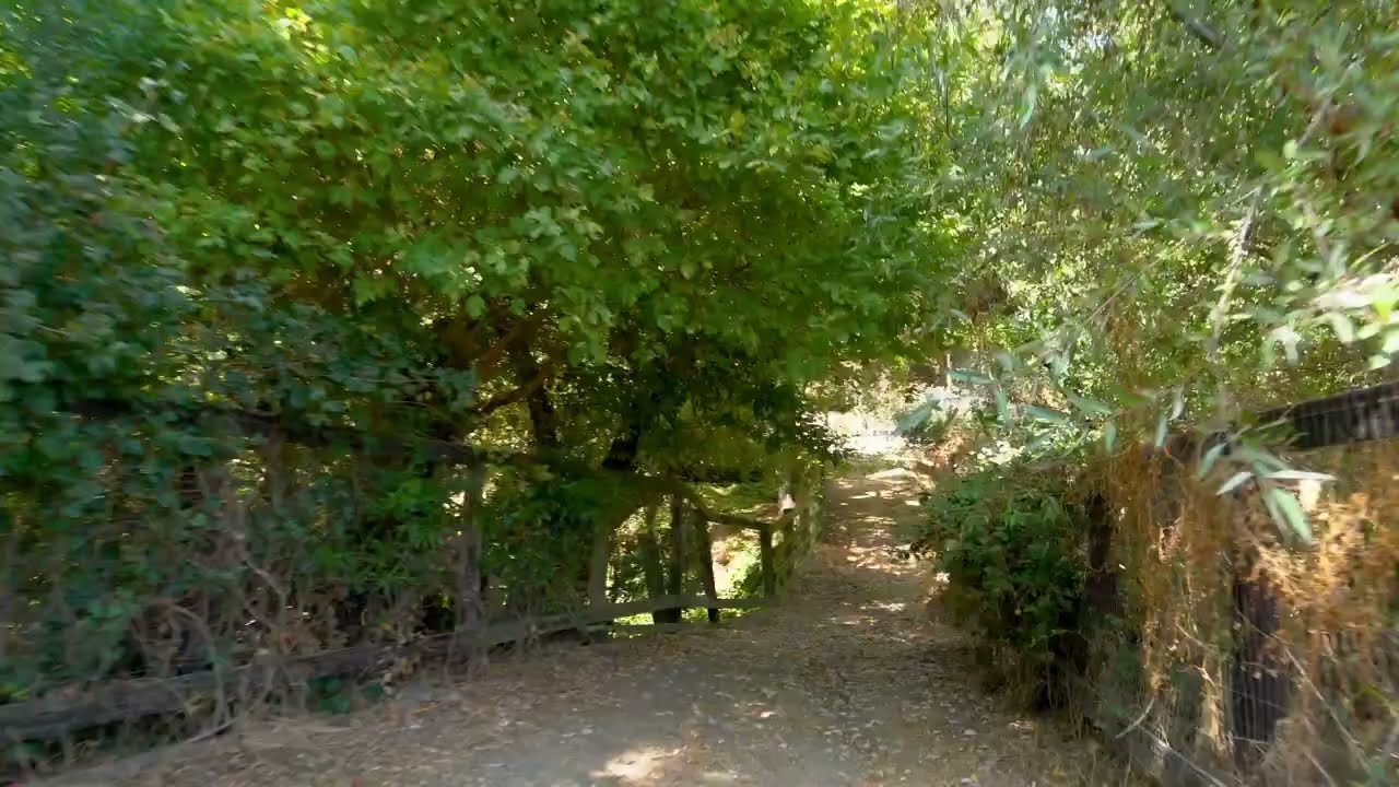 24977 Palomares Rd, Castro Valley, 38 Acre Ranch Sold by David Weiss