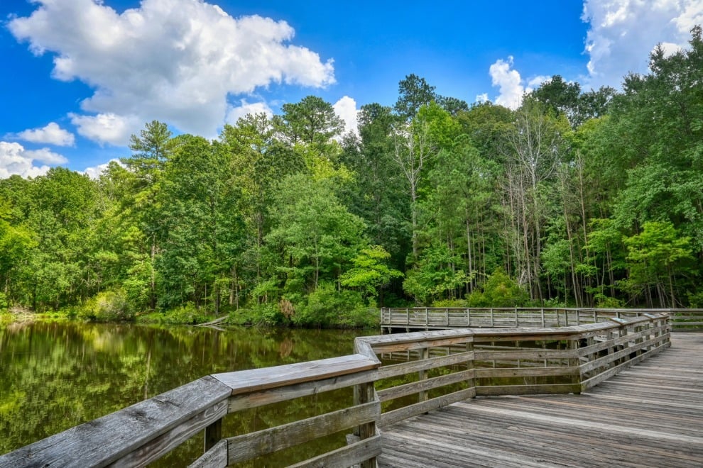 The Raleigh Summer Bucket List | The Best Things to Do in the Triangle This Season