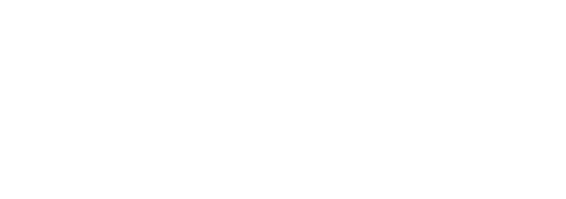 Light Logo