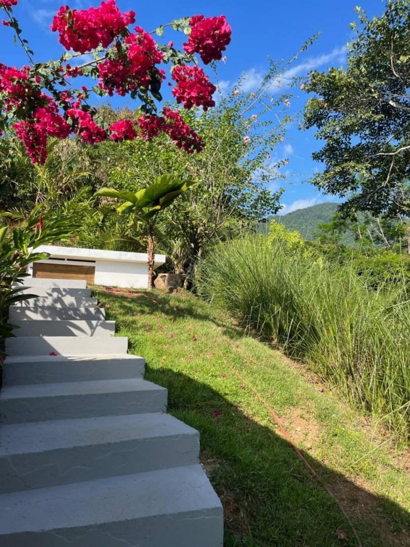 Terra Lodge - Income producing property with two apartments, swimming pool and 1 bedroom home.