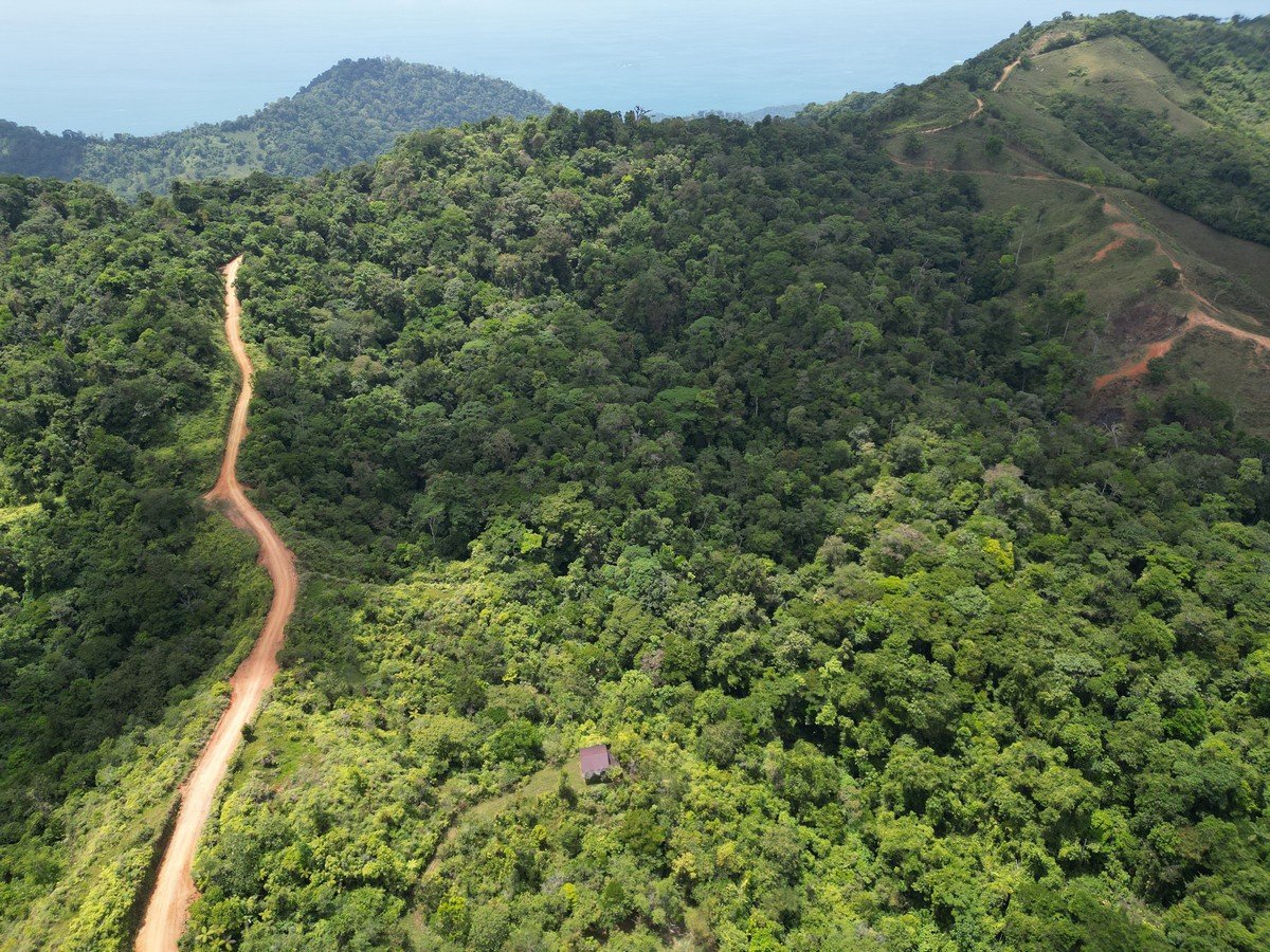 32 ACRES – Mountain Land With Spring, Jungle & Usable Space!!!!