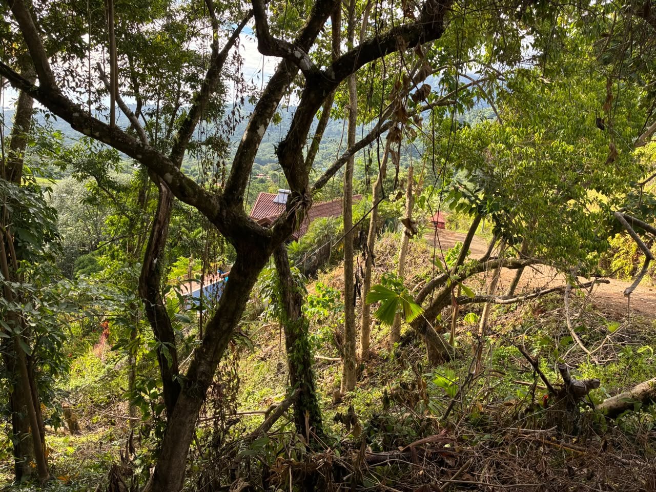 Affordable Ocean View Lot in Ojochal Phase9