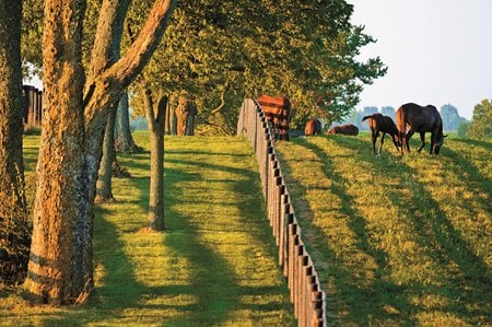 Bardstown & Nelson County