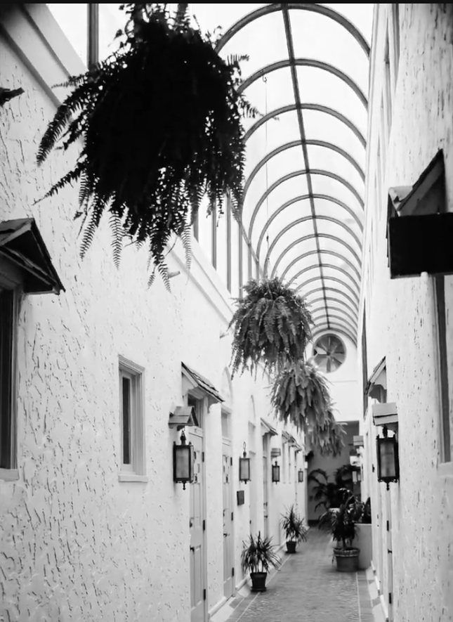 Indoor corridor with arched glass roofing, hanging ferns, and wall lanterns.