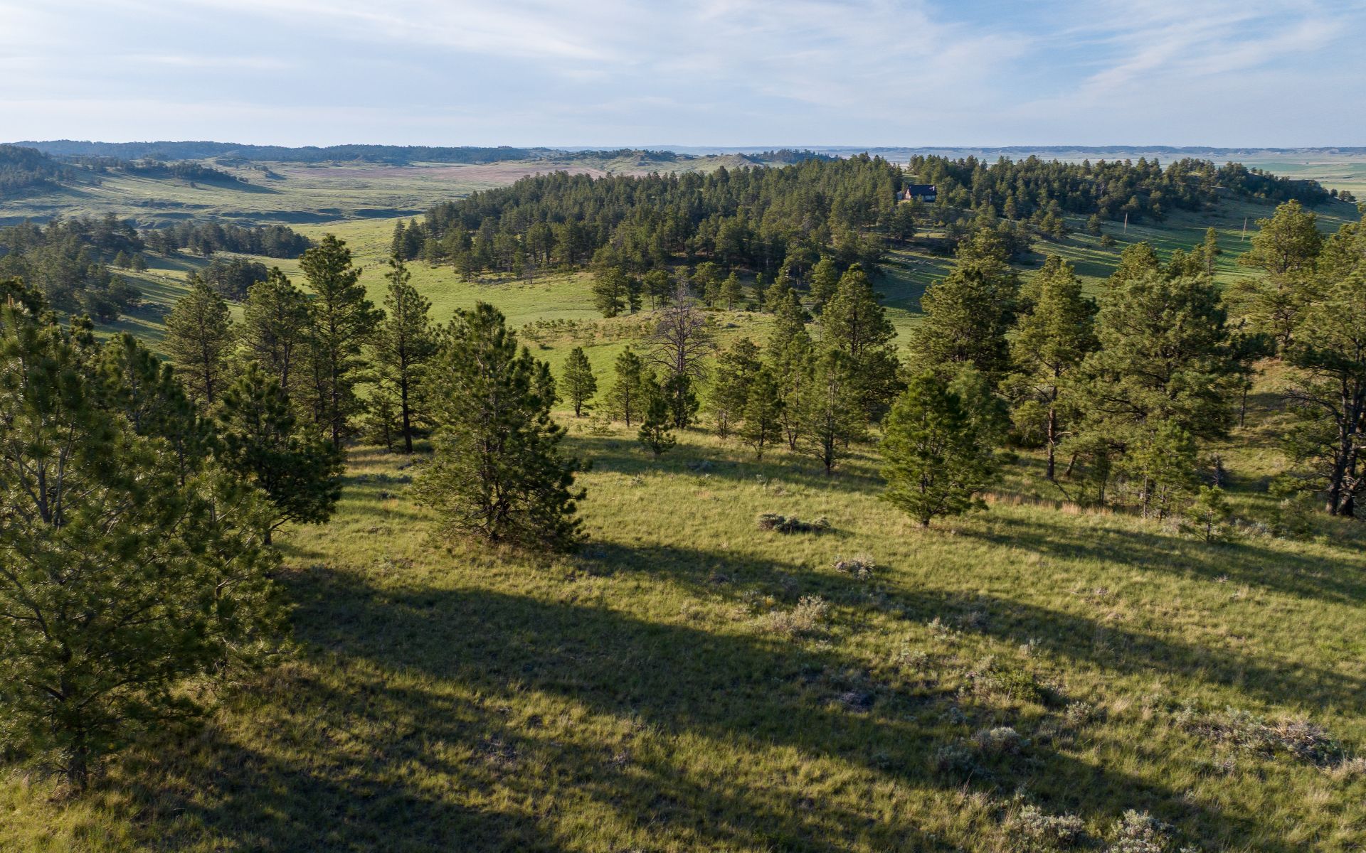 Elk Rich Ranch