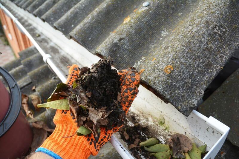 Gloved hands remove leaf debris from a roof gutter beside weathered roof tiles.