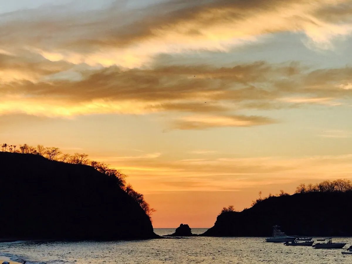 The Cove #6