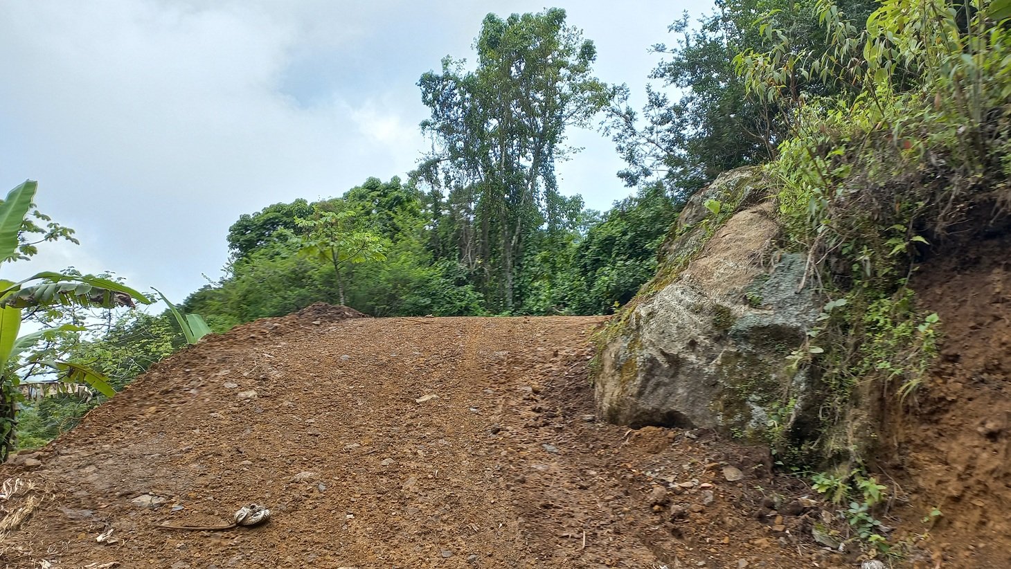 Mountain View Land with Several Building Sites and Mature Fruit Trees