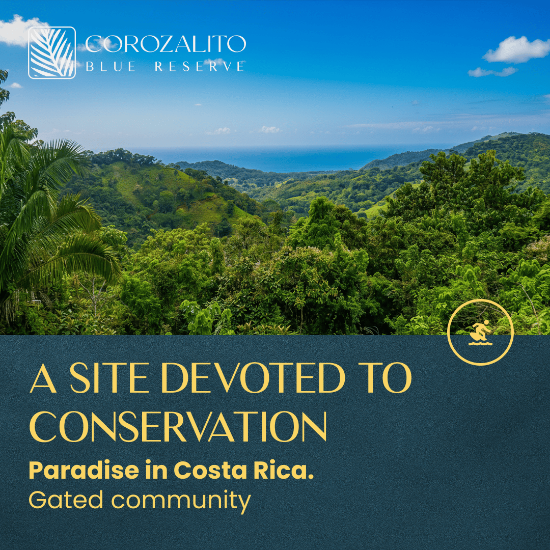 Corozalito Blue Reserve 