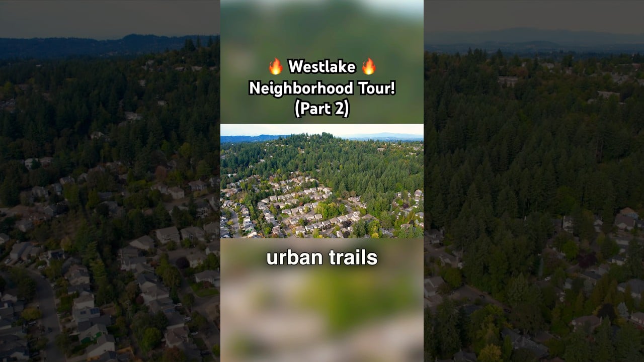 Westlake Neighborhood Tour! (Part 2)