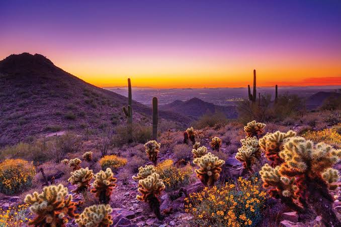 Scottsdale Ranch