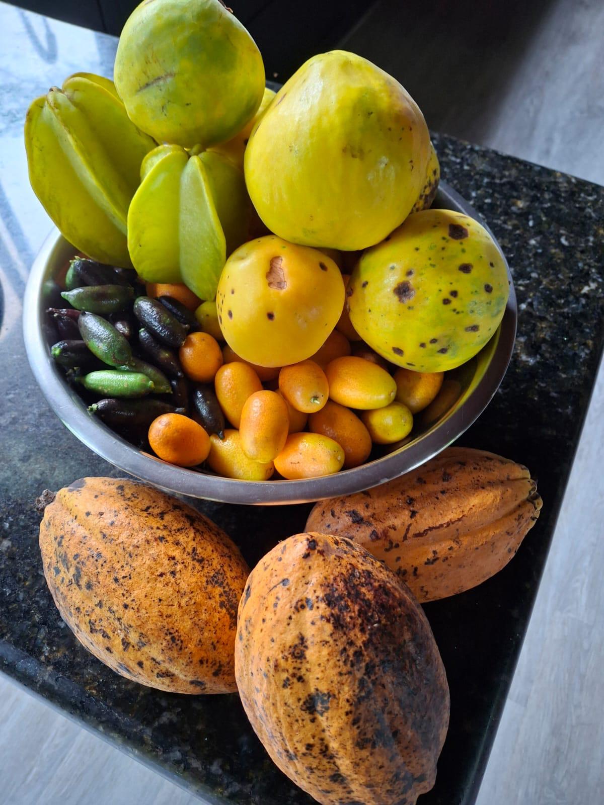 Eco Property Media Luna