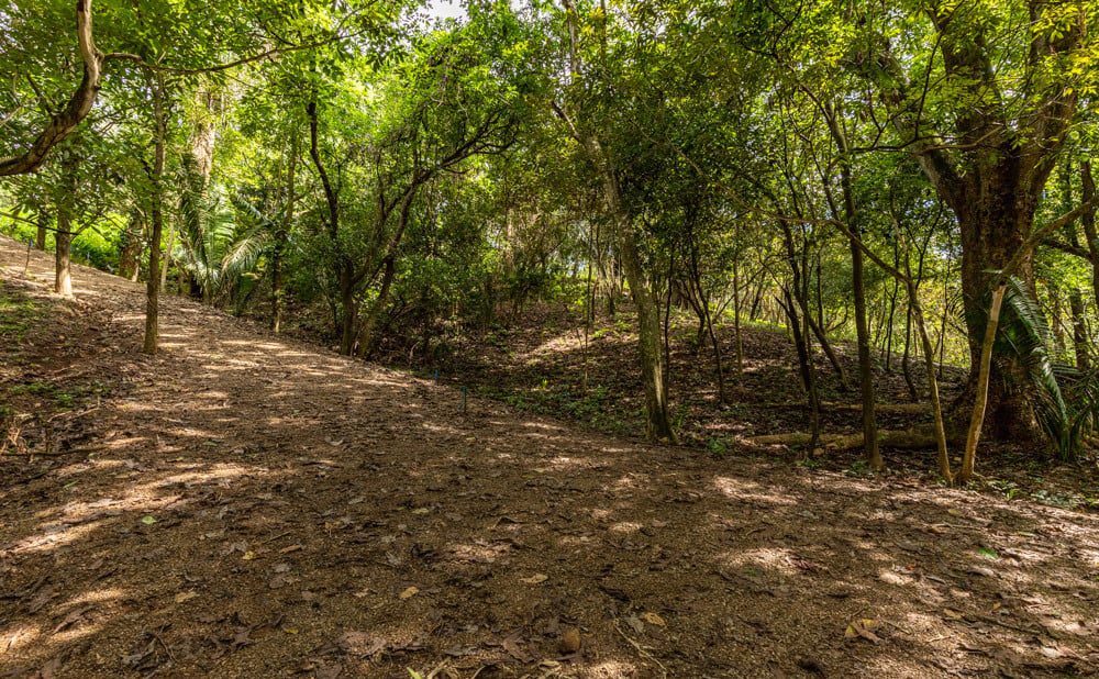Wooded Jungle Building Lots, Nosara, Guanacaste