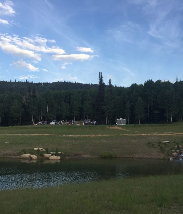 Music in the Meadows