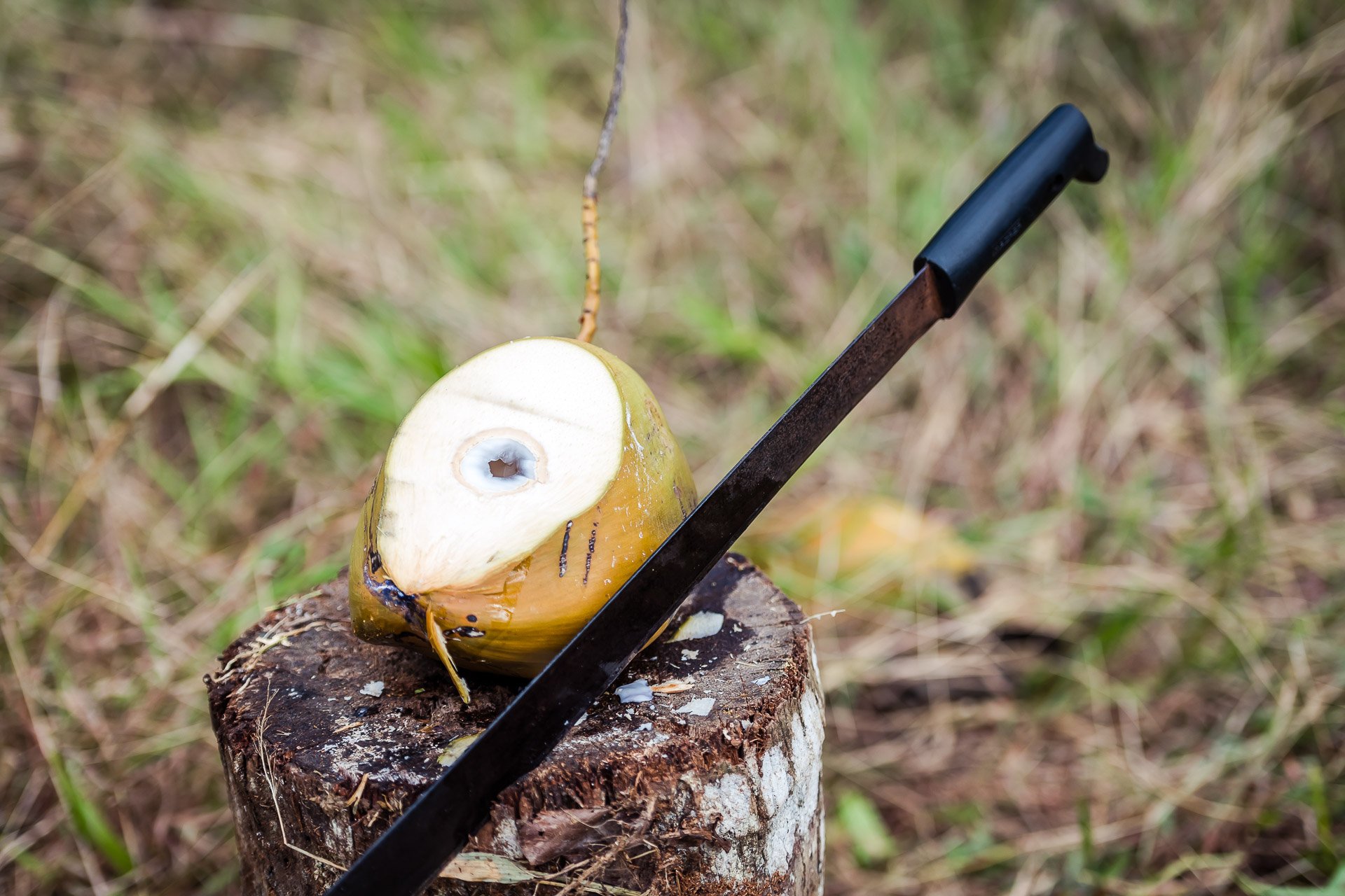 Blue Valley Cacao Farm | High-end gourmet chocolate production.