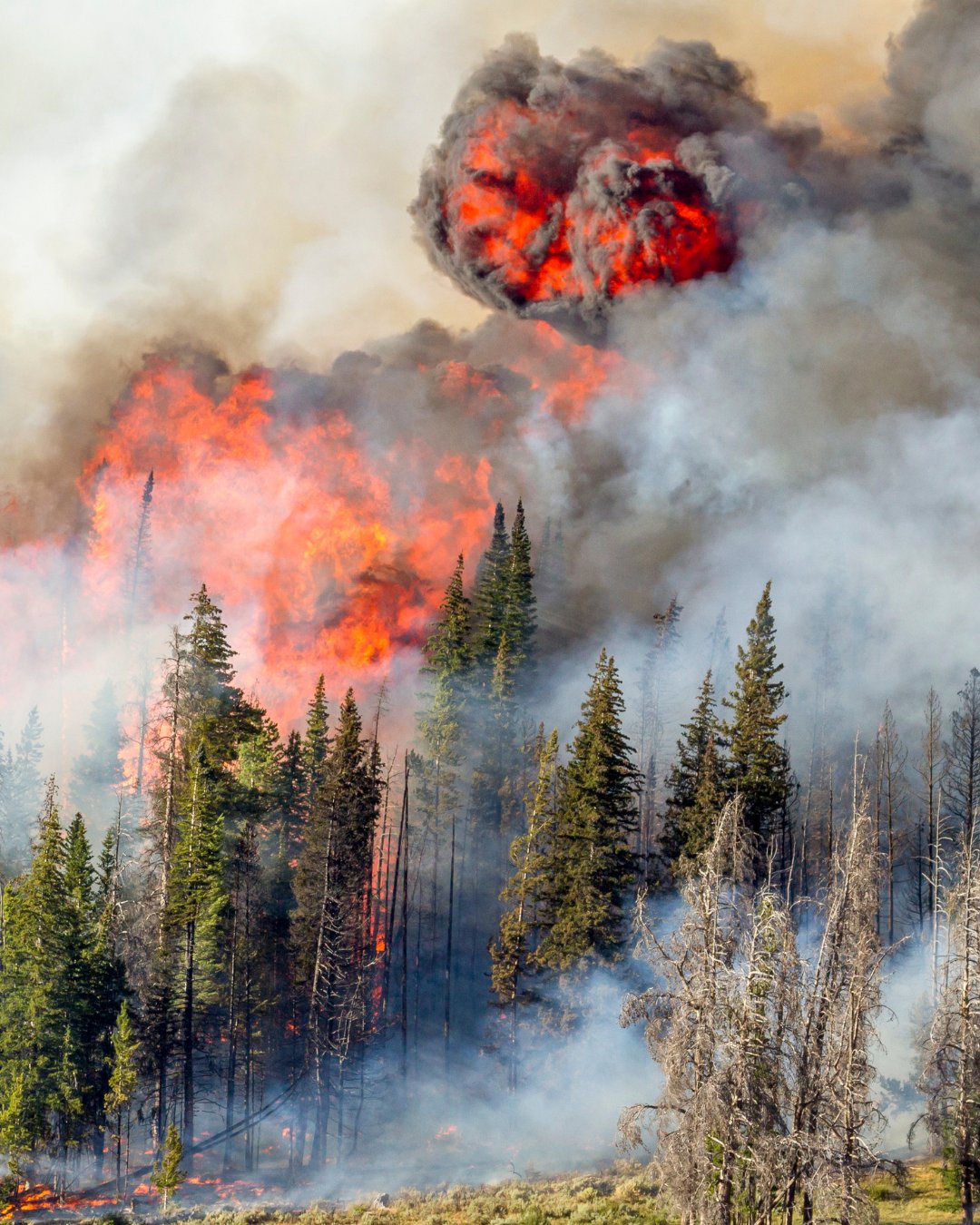 Wildfire Preparedness in Teton Valley cover