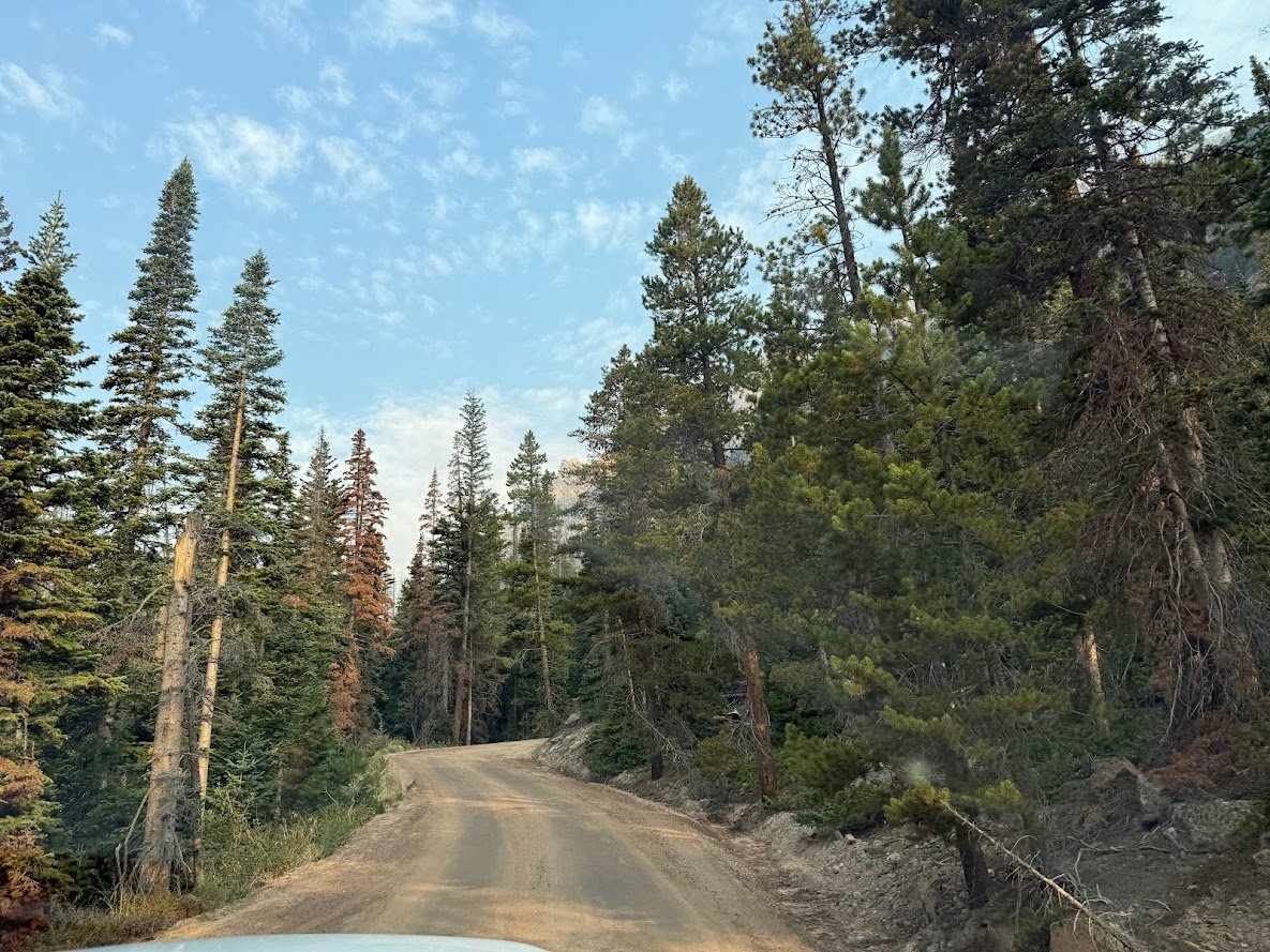 Driving Into the Wild: A Sensory Journey Along Old Fall River Road