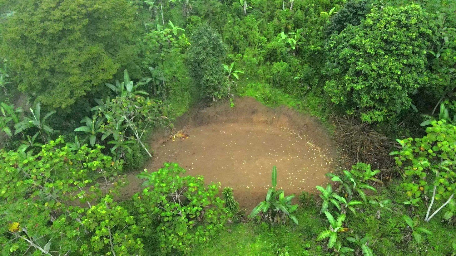 Mountain View Land with Several Building Sites and Mature Fruit Trees