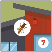 Illustration of a red house with a cockroach symbol and the number 7.