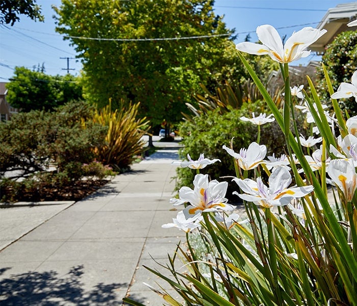 Memorial Park