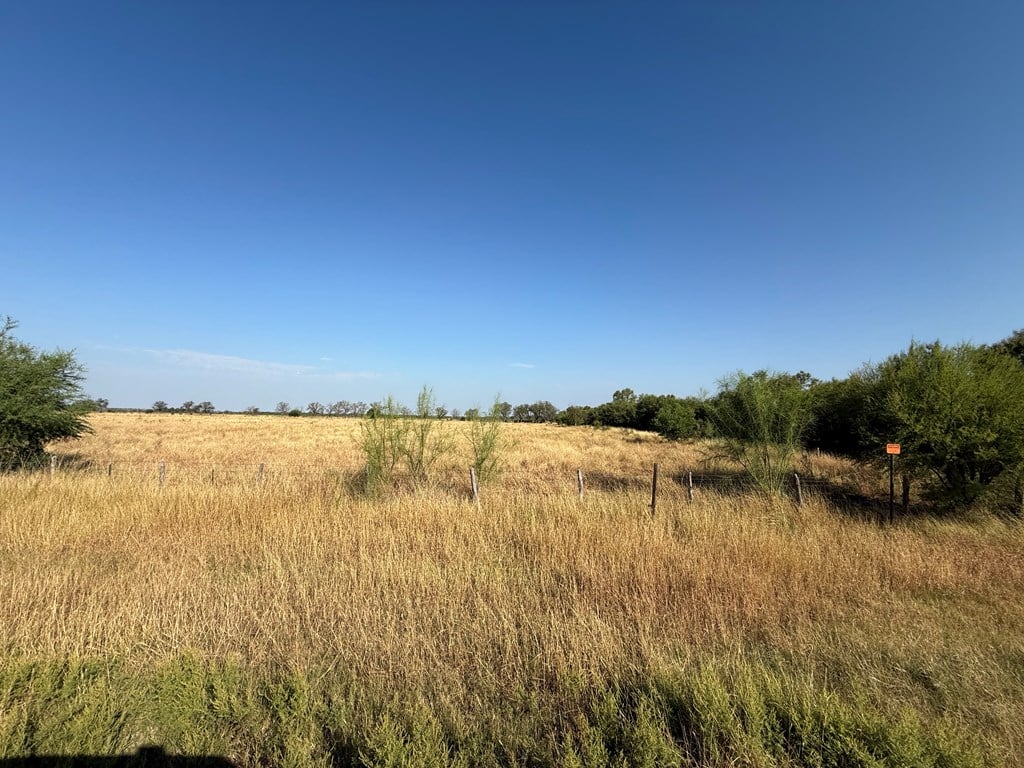 3232 FM 1590