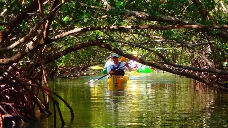 Sarasota’s hidden spots you’ll want to keep all to yourself 