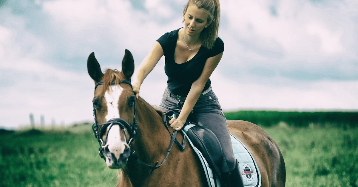 Field Trip! Let's go horseback riding!