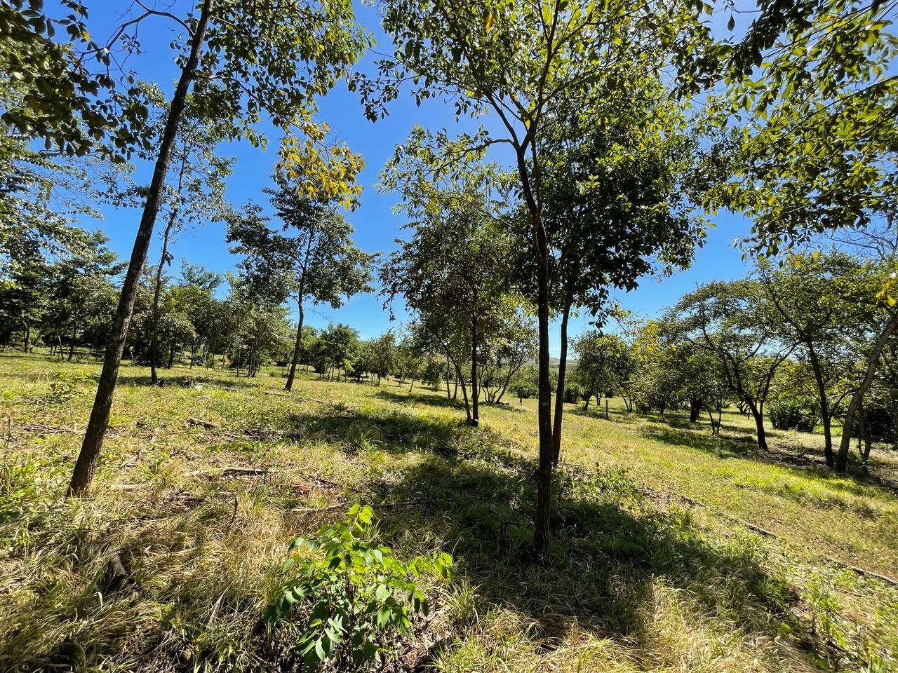 Beautiful Estate Lots Strategically Located in Villareal – Tamarindo – Guanacaste