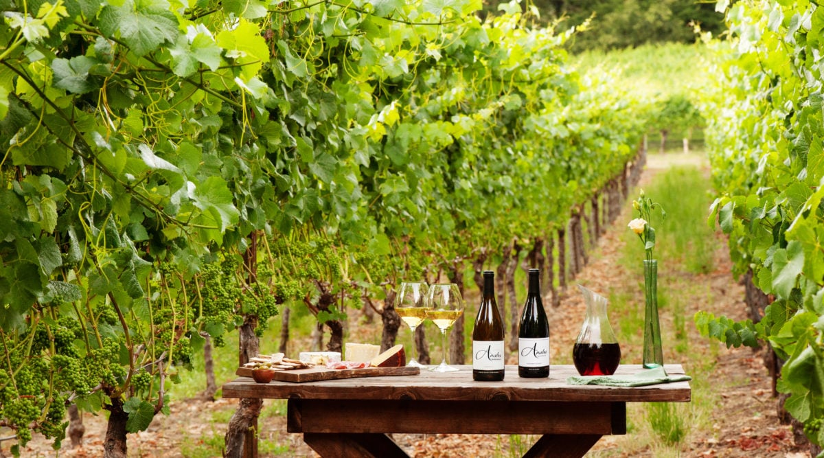 These Are the Most Iconic Vineyards in Sonoma County