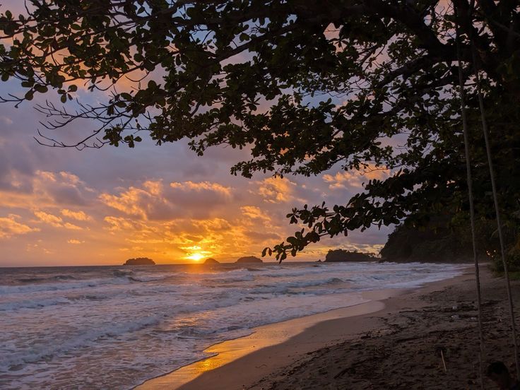 Tropical beach at sunset, framed by overhanging branches as waves reach the shore.