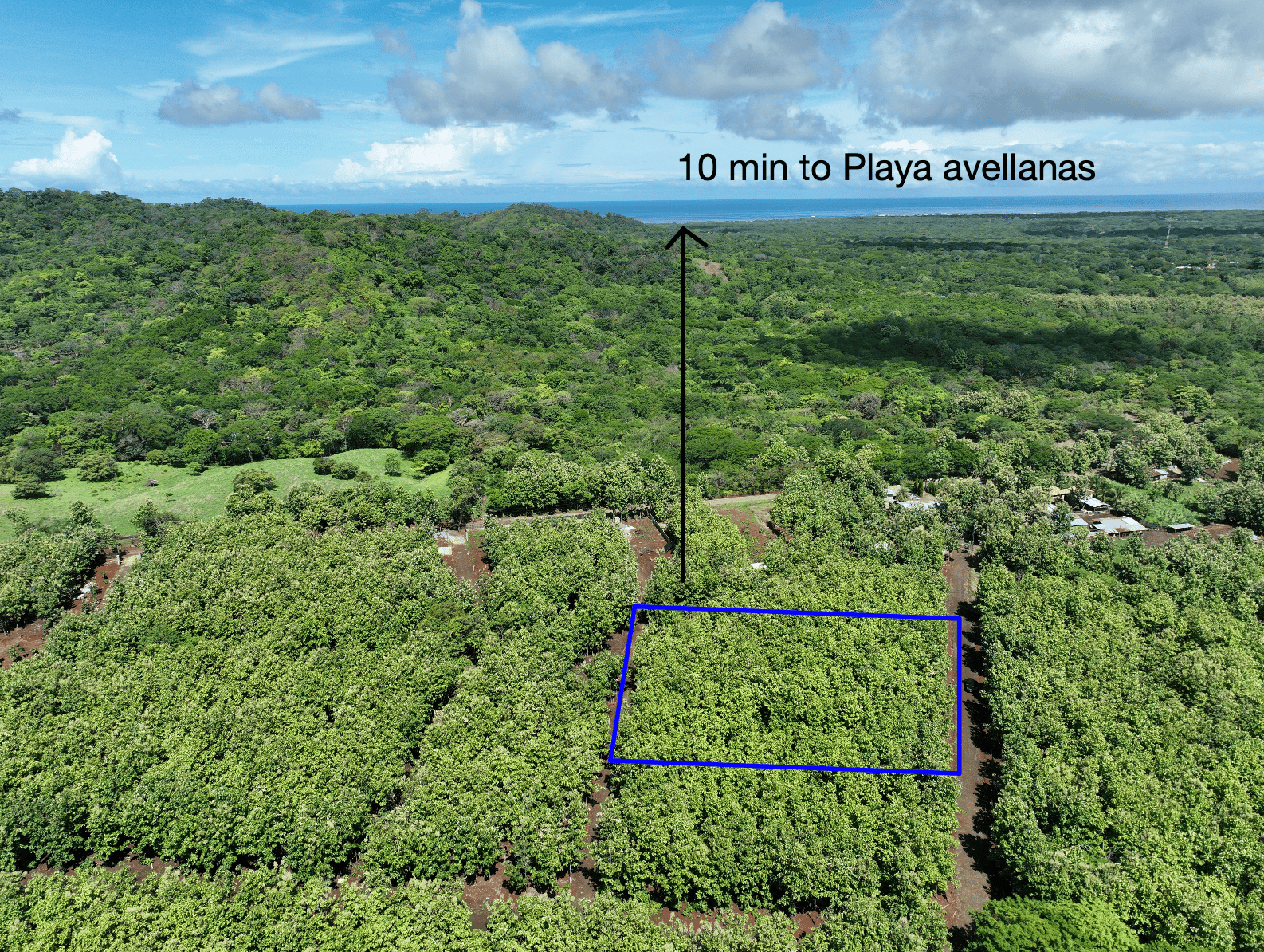 Lot #17 in Pinilla Teka | 5,000m² Lot in Altos de Pinilla, Tranquility and Opportunity 10 Minutes from Playa Avellanas!