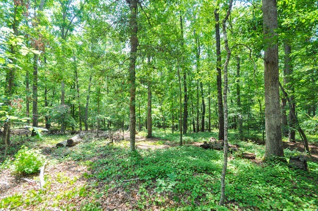 SOLD U SO!! 120 Featherwood Hollow, Athens, Georgia