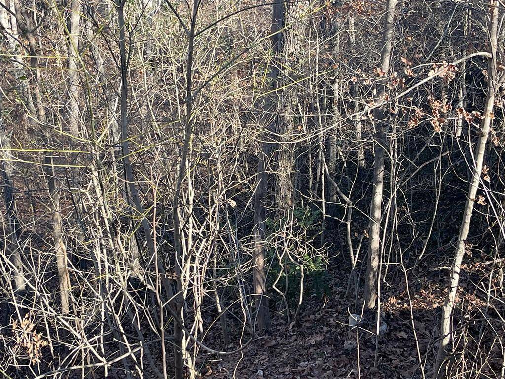 Smyrna