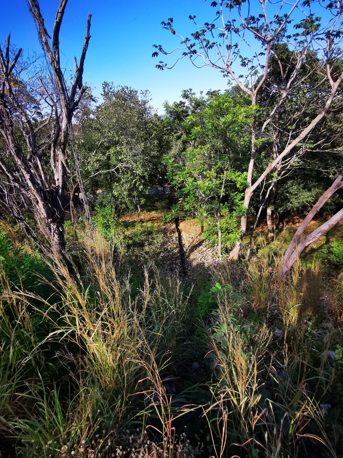 Valle Escondido