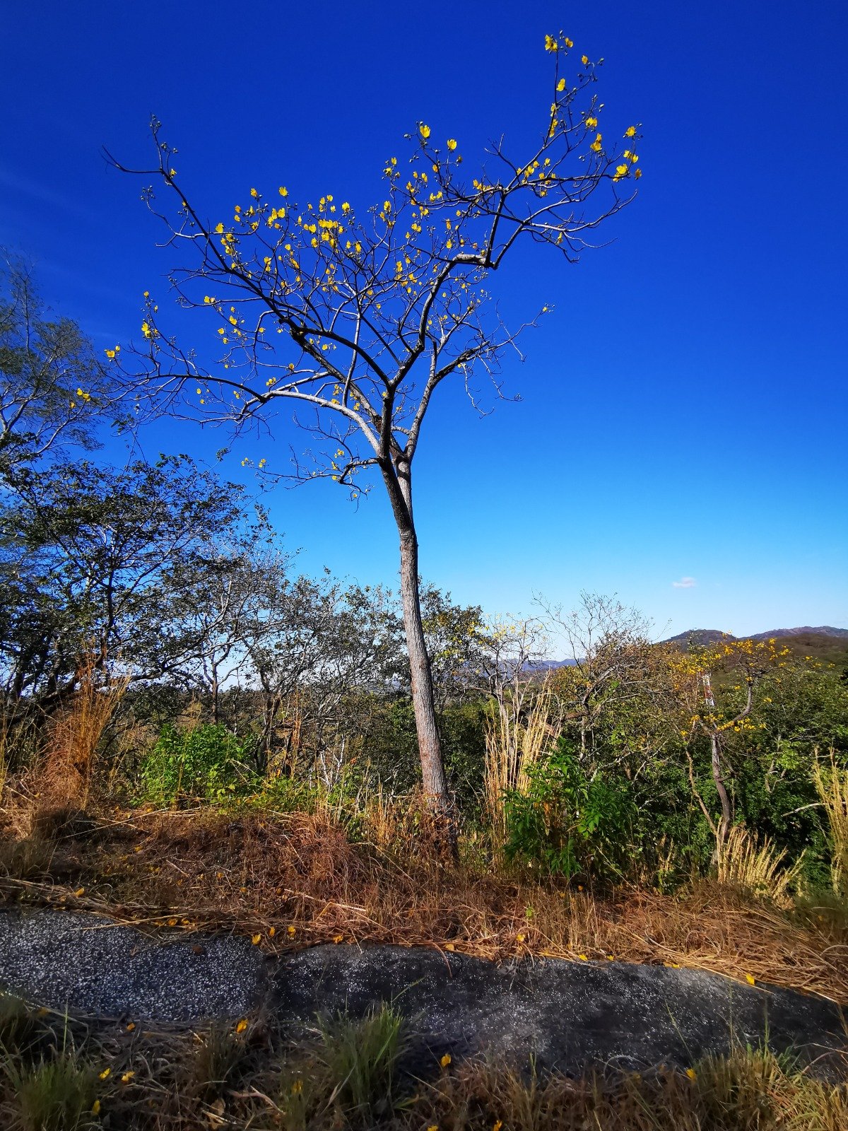 Valle Escondido
